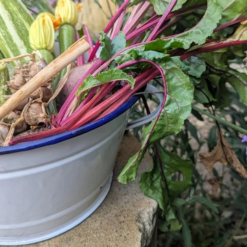 Bonyhádi zománcozott szűrő 26 cm-es