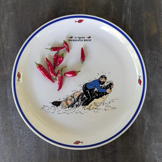 TINTIN kalandjai tányér - Vörös Rackham kincse