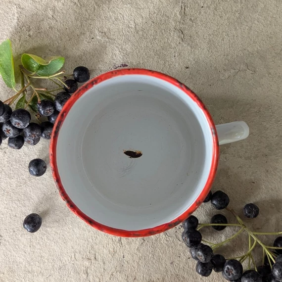 Régi zománcozott bögre nefelejcs mintával