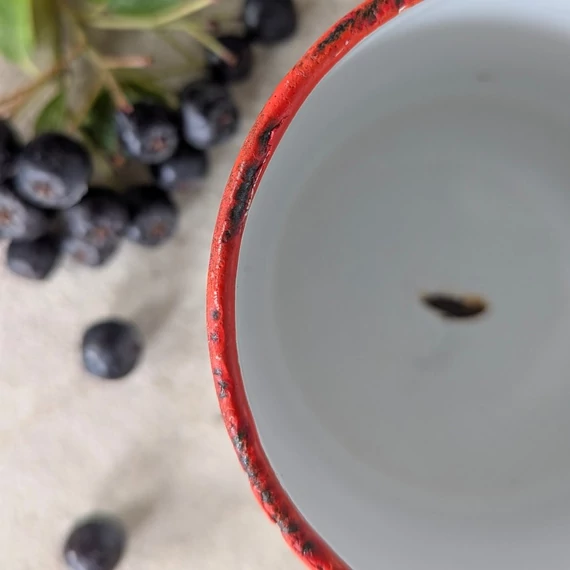 Régi zománcozott bögre nefelejcs mintával