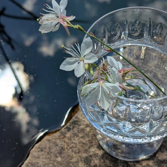 Nagy méretű pohár brandy-nek vagy gyümölcsöknek