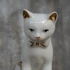 Fehér porcelán cica