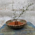 Kerámia tál ikebana kompozíciókhoz