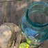 6 l-es hutaüveg pecséttel (1900-as évekből)