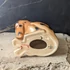 Vintage kerámia gepárd figura