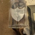 Régi nagy patikaüveg 